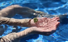 成人无码高潮AV在线观看